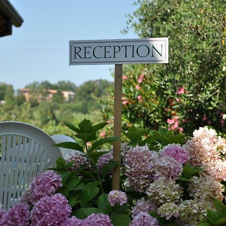 Agriturismo Ai Ciliegi Bardolino Eksteriør billede